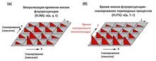 Пространственно-разрешенная регистрация переходных процессов времени жизни флуоресценции